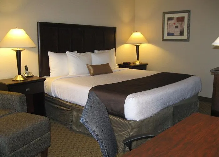 Hotel Doubletree By Hilton Worth South Fort Worth