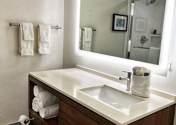 Doubletree By Hilton Worth South Hotel 4*